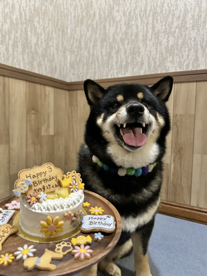 【函館・北斗・七飯の住宅会社】⋆⸜ニッチおススメ特集⸝⋆